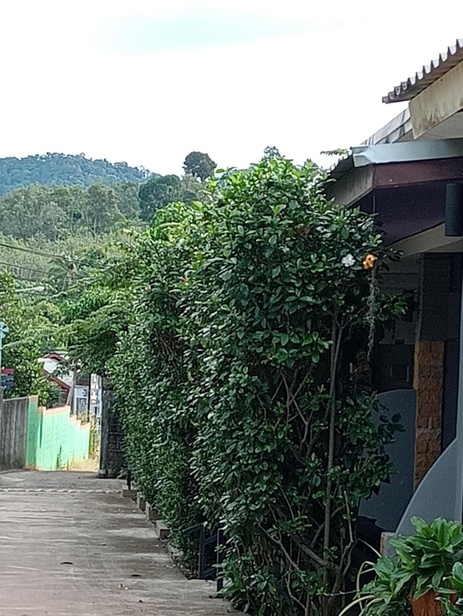 Lanta Beautiful Beach House Ko Lanta Rom bilde